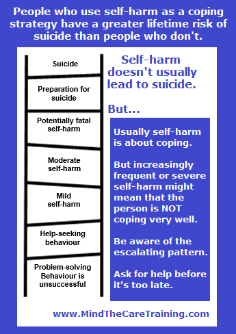 Self harm and suicide ladder meme
